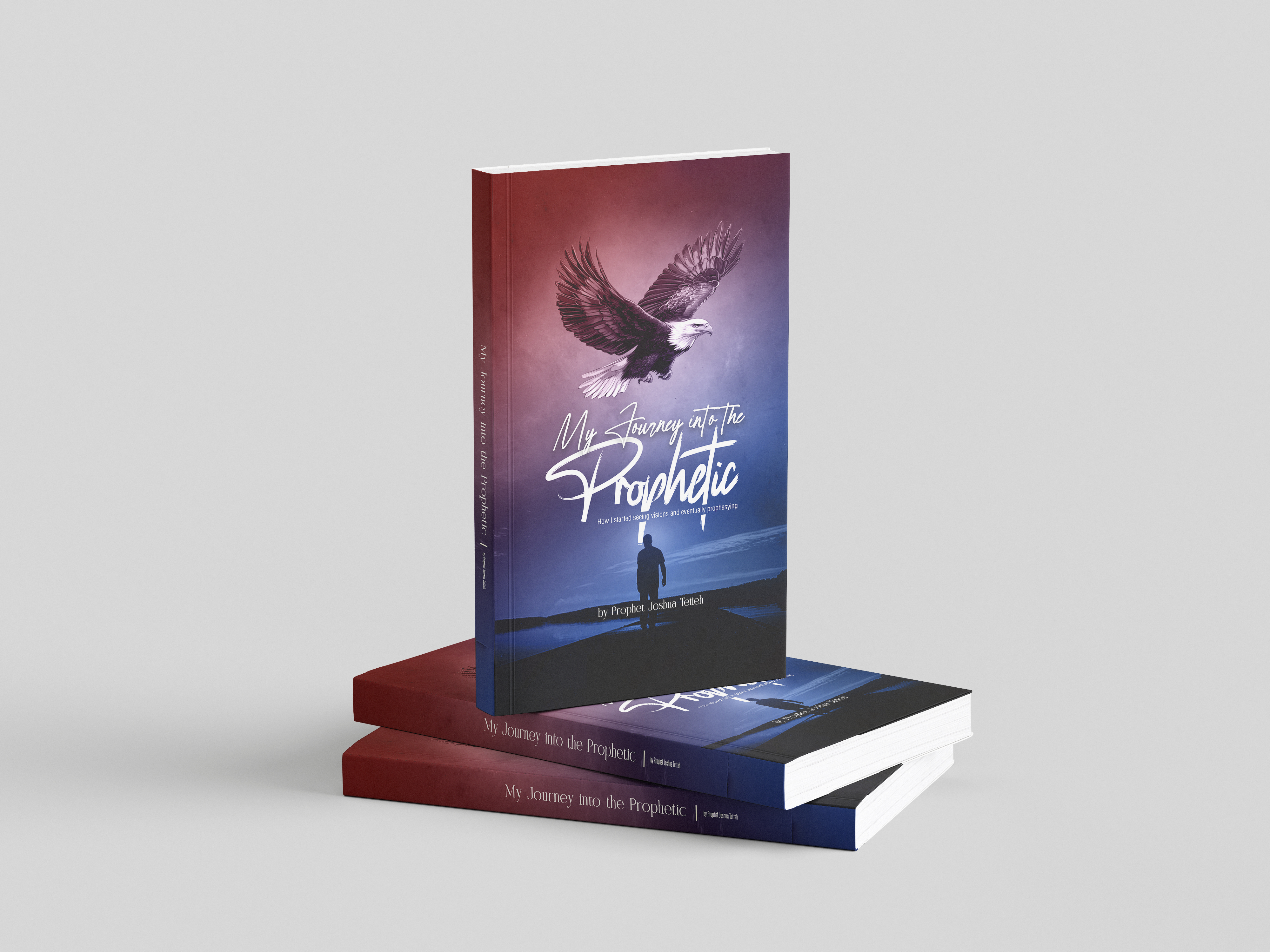 MY JOURNEY INTO THE PROPHETIC book by HBH Success Consult